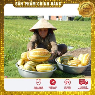 HẠT GIỐNG DƯA BỞ THƠM QUẢ DÀI
