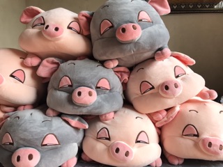 Set chăn gối heo phê cần