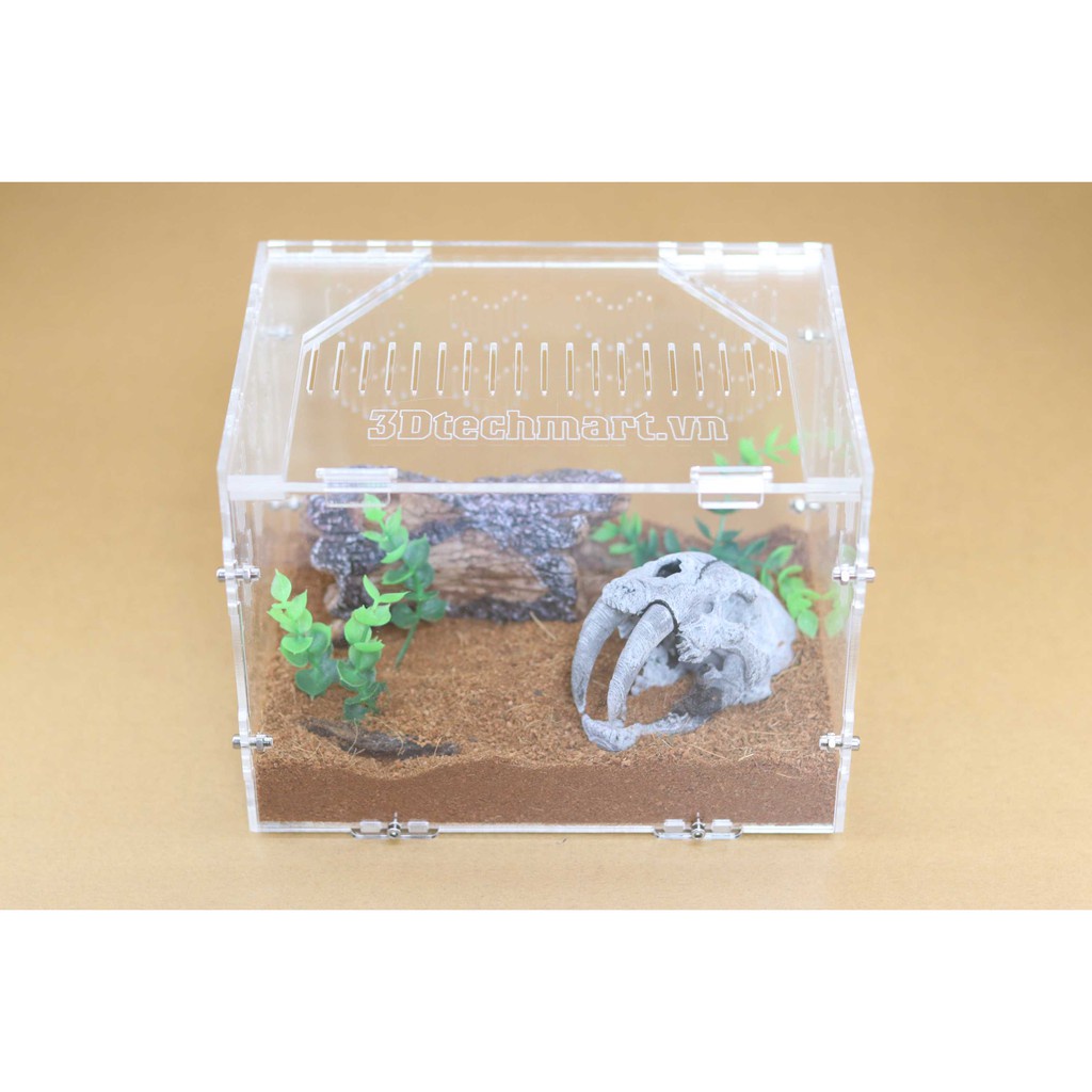 Hộp Nuôi Nhện 15-10-10 tank tarantula