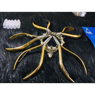 KỀM CẮT DA - KỀM NGỌC