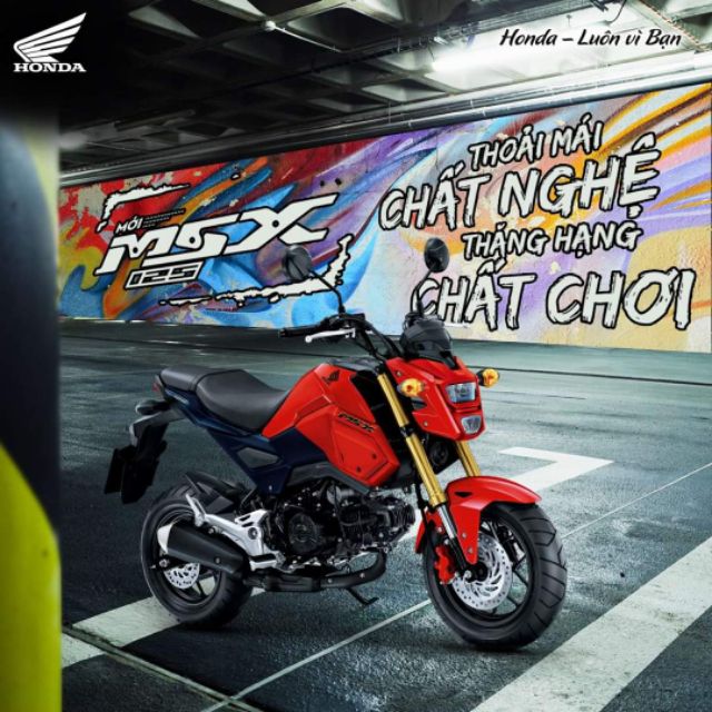 Lốp Xe MSX 120/70-12 và 130/70-12 Chính Hãng DPLUS