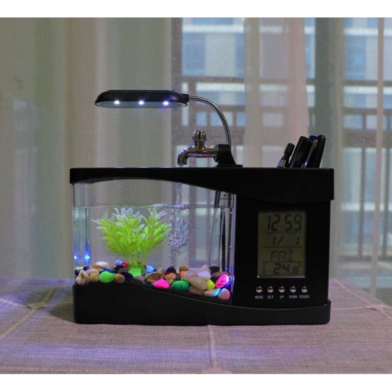 Bể Cá Cảnh Mini Cỡ Nhỏ Để Bàn Cực Đẹp, Bể cá Trang Trí Bàn Làm Việc Giúp Thư Giãn