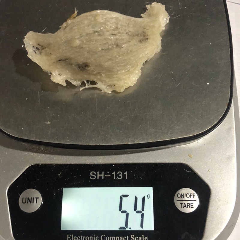 1 TỔ YẾN THÔ NHÀ NUÔI NGUYÊN CHẤT SẠCH RẤT ÍT LÔNG SHOP TẶNG KÈM ĐỒ CHƯNG và nhíp khi mua từ 20gram