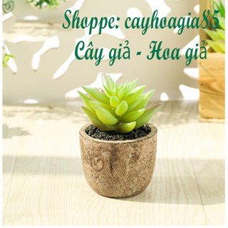 Cây giả - Chậu Sen đá (cả cây và chậu)