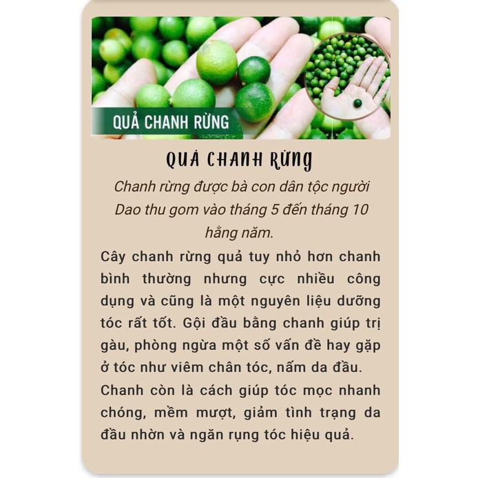 Thảo dược nhuộm tóc, phủ bạc không hoá chất - BỘT LÁ NHUỘM TÓC DALABO, 100% tự nhiên từ bột lá Móng, bột lá Chàm