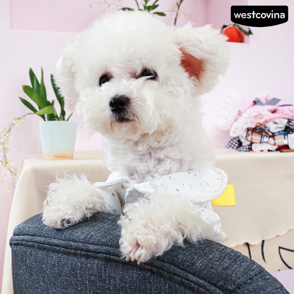 [Mới]♞Áo Liền Quần Eo Cao Đính Nơ Thời Trang Mùa Hè Cho Cún Cưng