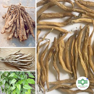 Củ Bách Bộ khô 1kg - T104