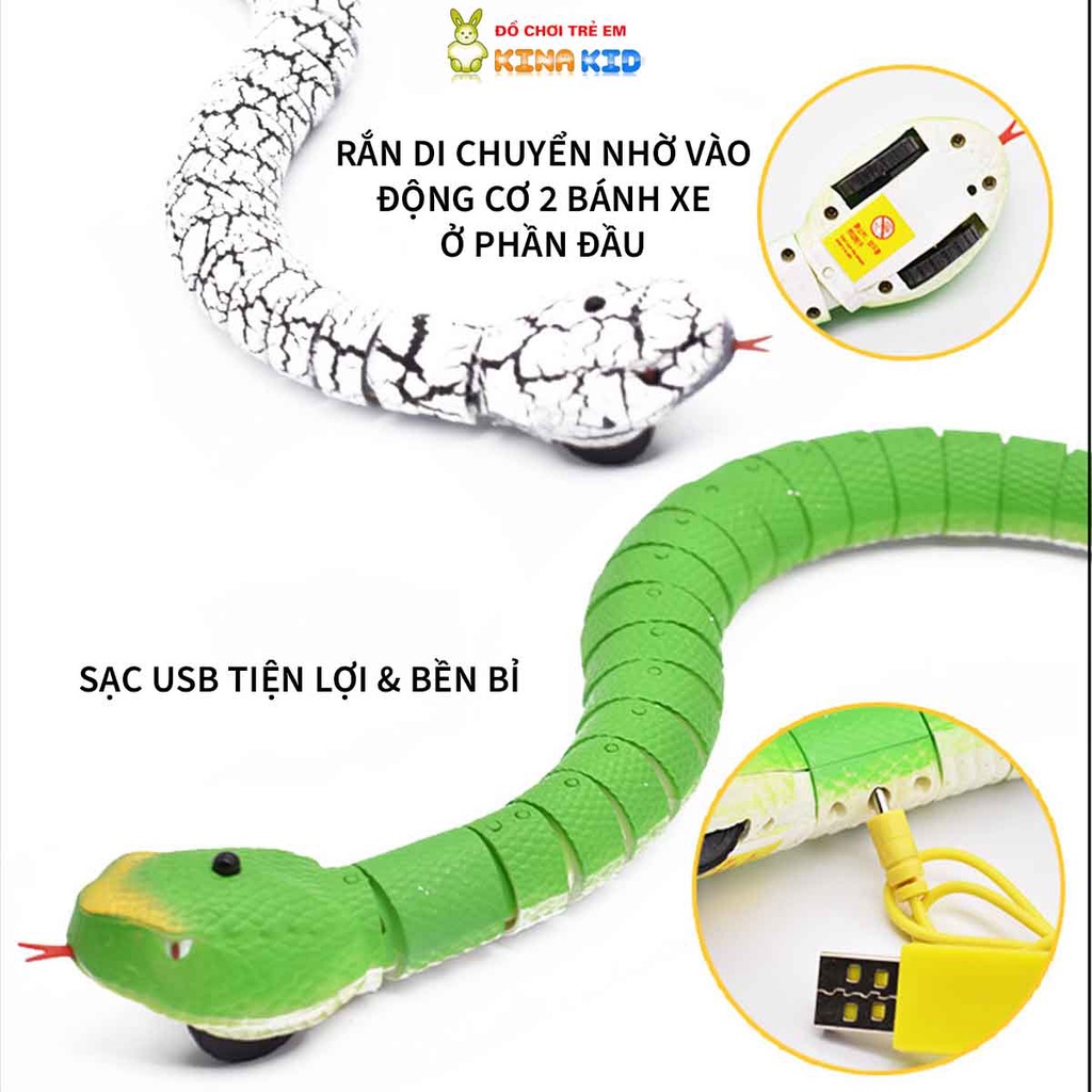 Đồ Chơi Con Rắn, Con Rết Điều Khiển Từ Xa Có Pin Sạc