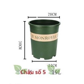 Chậu Monrovia Size 5 28x31cm - Chậu nhựa trồng cây chuyên dùng trồng Hoa Hồng và các loại hoa kiểng