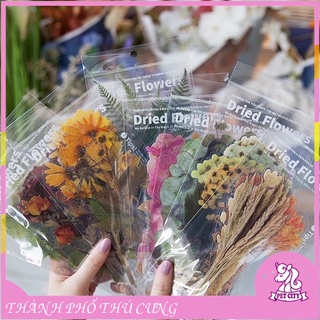 Set sticker hoa lá khô ép nhựa PVC- Trang trí sổ bullet journal