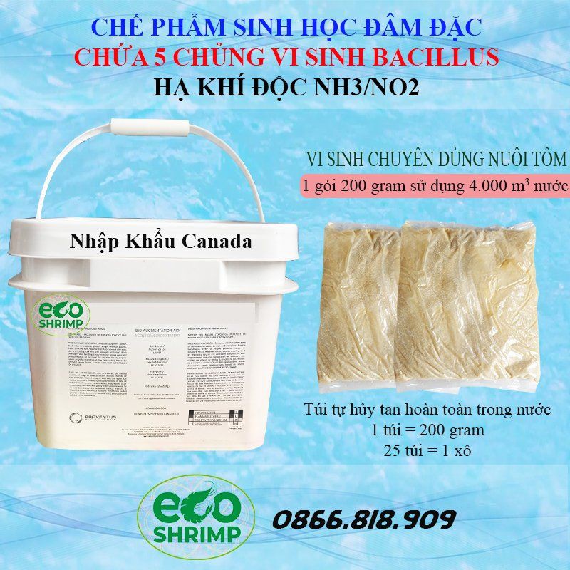 Vi Sinh Xử Lý NO2 NH3 Ao Tôm Nhập Khẩu Canada 1 Túi 200gr