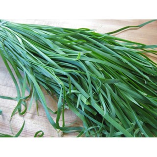 100 Hạt giống rau hẹ ta