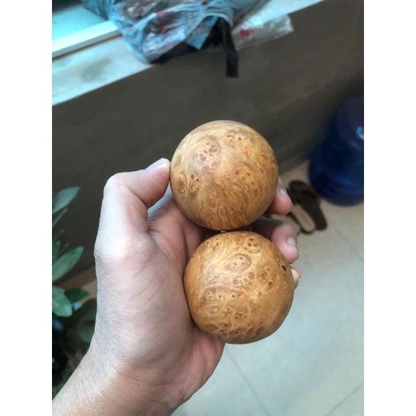 Bi nu huyết long tuyển vân đốm vàng dục thơm nức 5cm