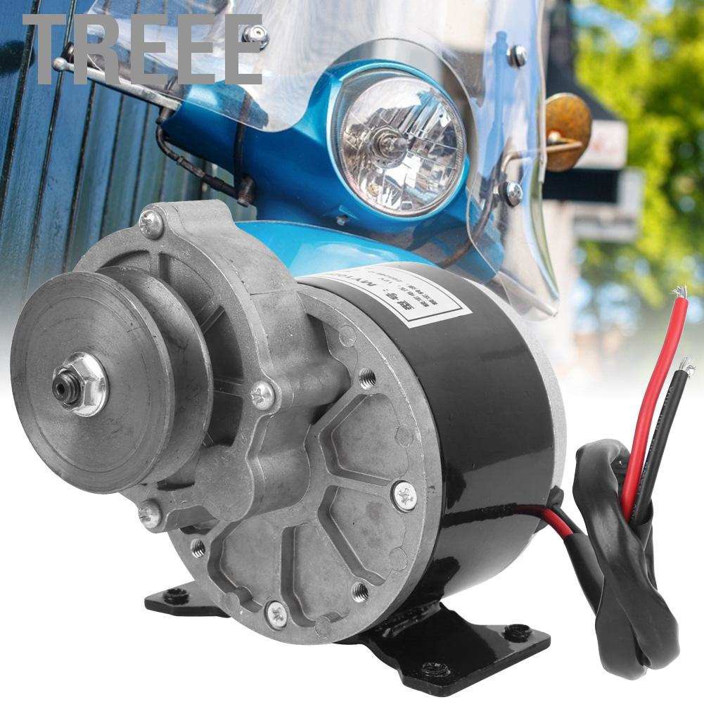 Động Cơ Ròng Rọc Câye 12v 250w