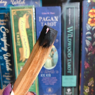 Gỗ Trắc Xanh (Palo santo)