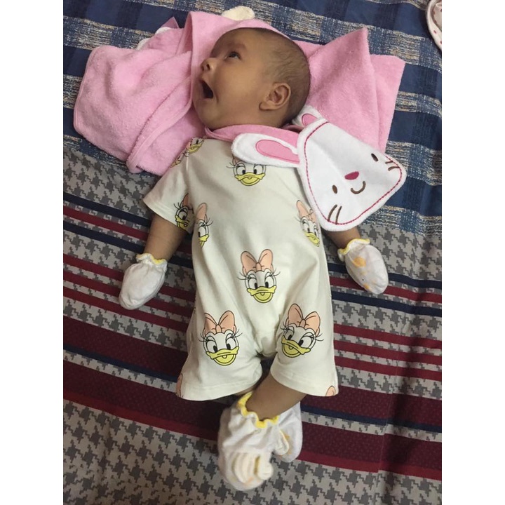 Set bộ gia đình Mickey - Donal