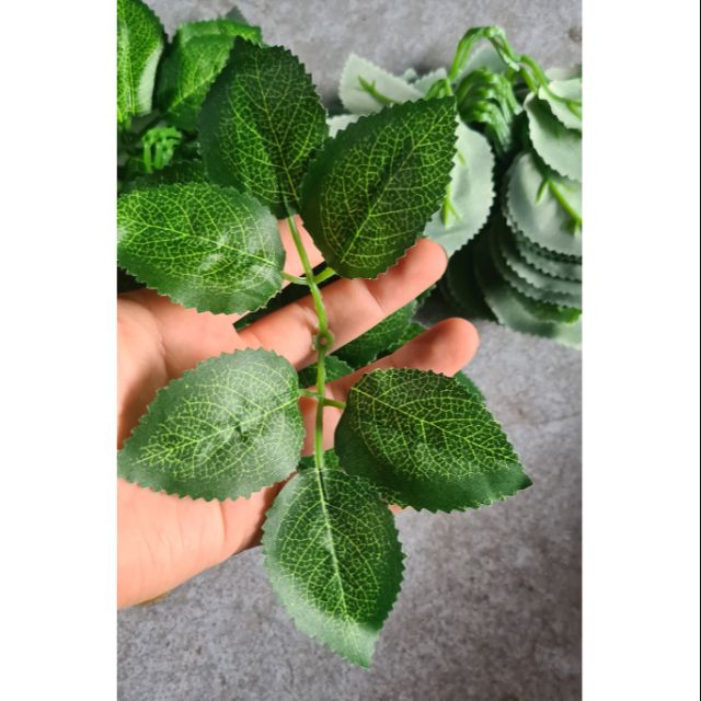 Lá hoa hồng gân 100g