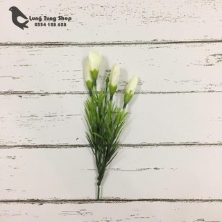 Hoa tulip màu trắng làm đạo cụ chụp hình sản phẩm - phụ kiện chụp hình