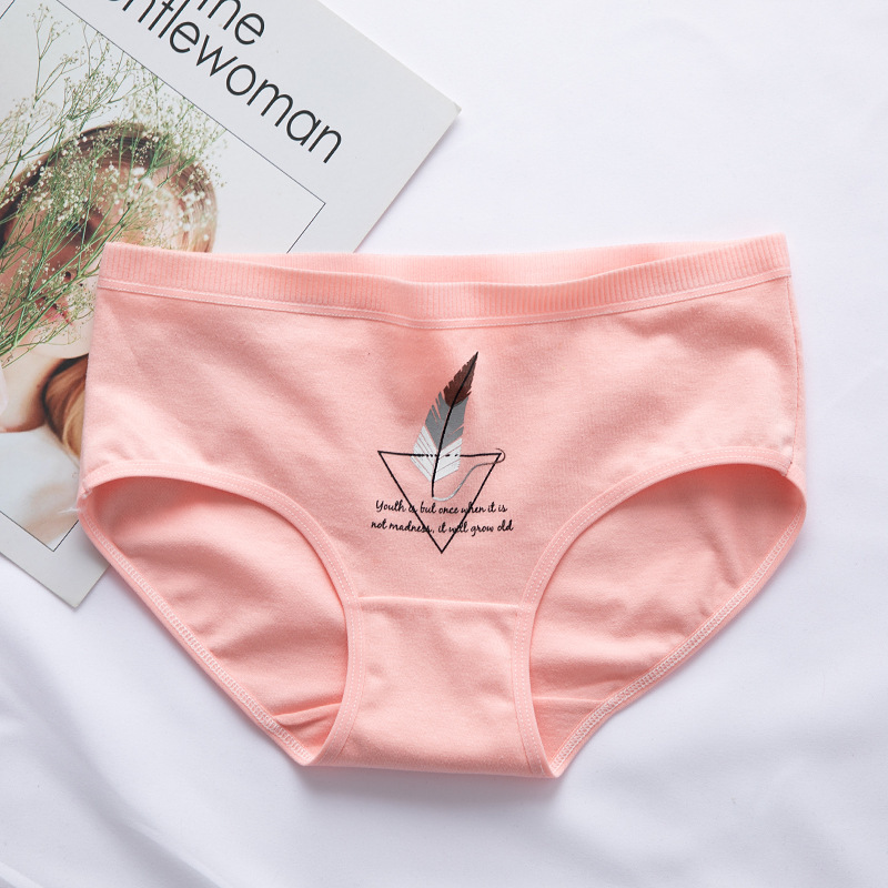 Quần Lót Cotton Không Đường May Họa Tiết Chim Hồng Hạc Dễ Thương Dành Cho Nữ | BigBuy360 - bigbuy360.vn