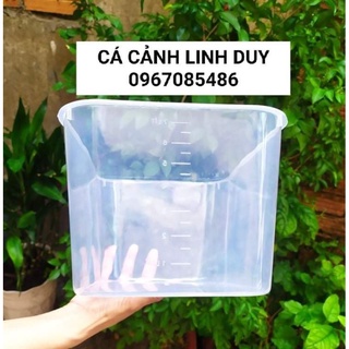 KHAY NHỰA NUÔI  CÁ MÀU  TRONG ( 7 LÍT )
