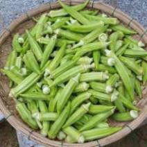 Hạt giống Đậu Bắp Xanh Cao Sản Thái Lan Tặng kèm 1 siêu kích rễ cực mạnh dùng cho 24l nước
