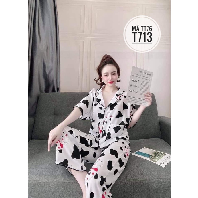 TT76 - ĐỒ BỘ MẶC NHÀ - SET PIJAMA HOẠT HÌNH DỄ THƯƠNG