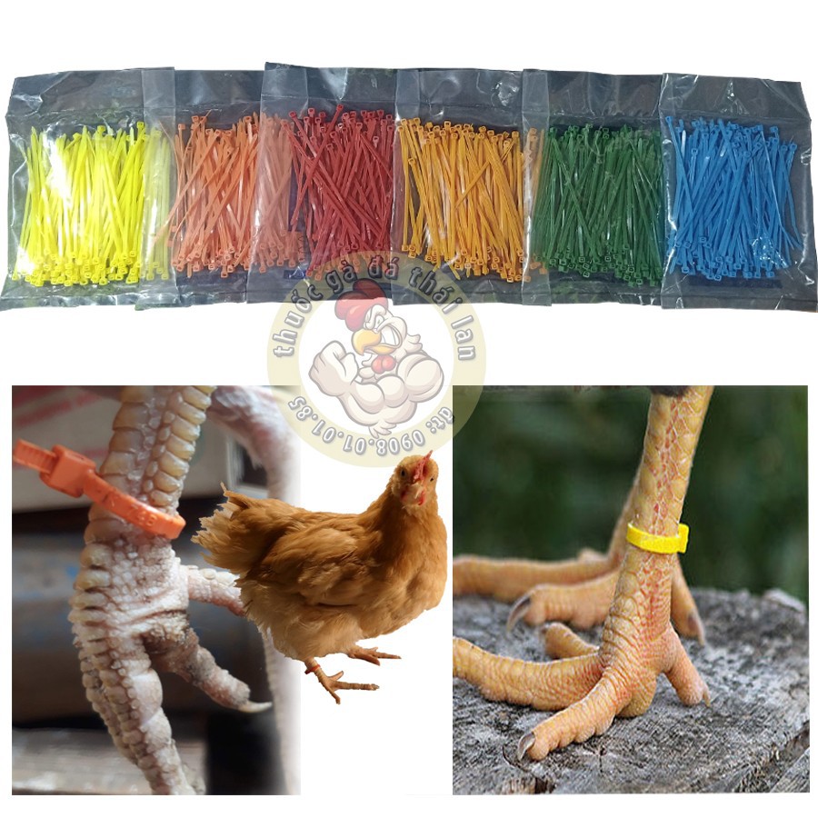 dây rút 6 màu - làm dấu chân gà