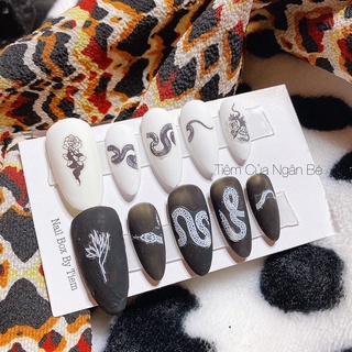 Nail rắn mt