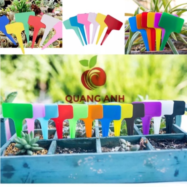 THẺ GHI TÊN CÂY DẠNG CẮM GỐC - Set 50 cái