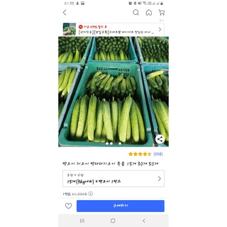 [SEEDS] DƯA LEO NẾP [NHẬP HÀN QUỐC]
