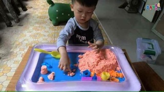 Cát nặn sinh học
