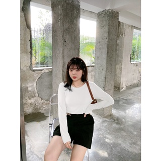 Áo thun Bigsize dài tay chất da cá mềm mịn