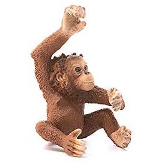 Mô hình SCHLEICH Đười ươi con 14776