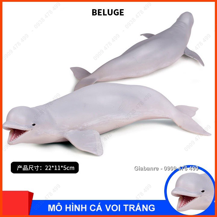 Mô Hình Cá Voi Trắng Beluga - 18-22cm -  Thế Giới Động Vật - 7673.9