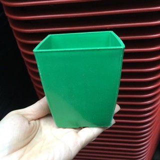 Chậu nhựa vuông trồng hoa - cây cảnh kích thước 9x9 cm