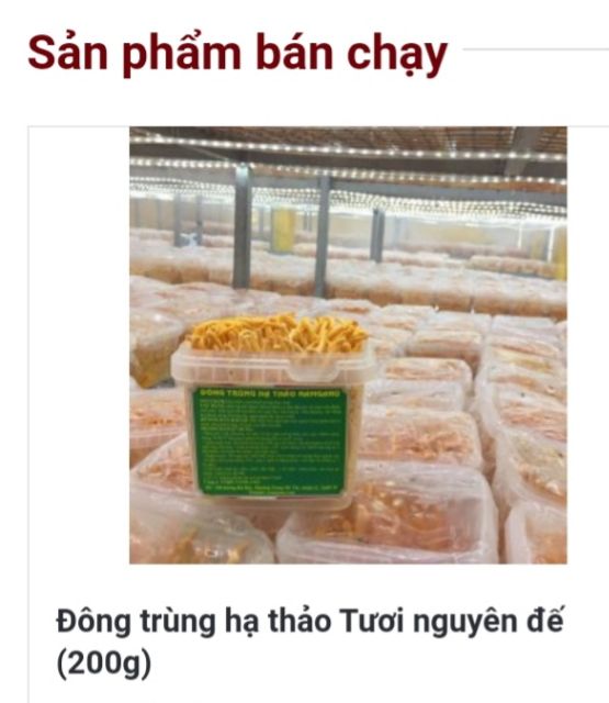 Nấm linh chi 600k/kg, hàng cty Nam gano được  trồng tại trang trại nấm ở củ chi,. Đảm bản 100% được trồng tại Việt Nam.