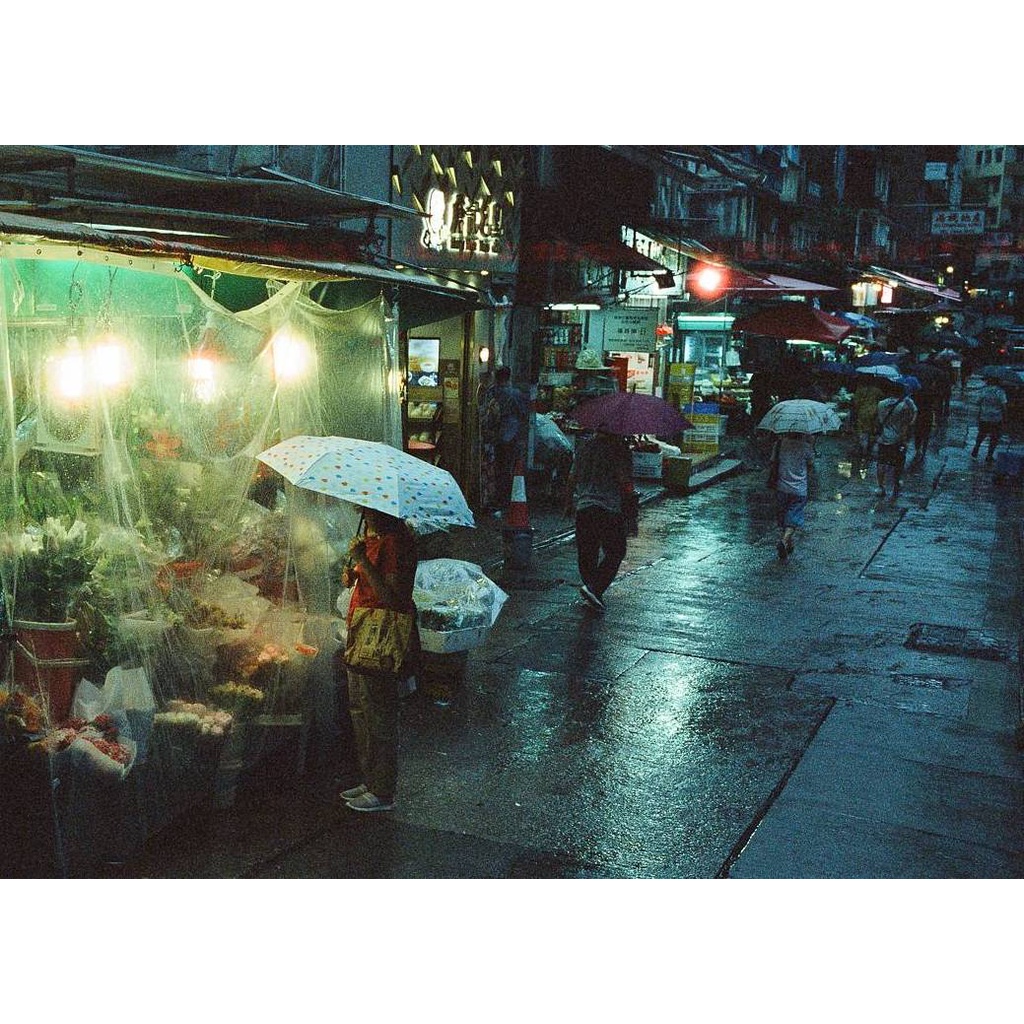 Phim CineStill 800T ISO 800, Màu Color, 120 x 12 Kiểu Vuông, In Date Cho Máy Chụp Ảnh Film - LIIQ Flash