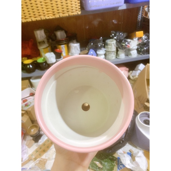 Chậu sứ trồng cây màu pastel