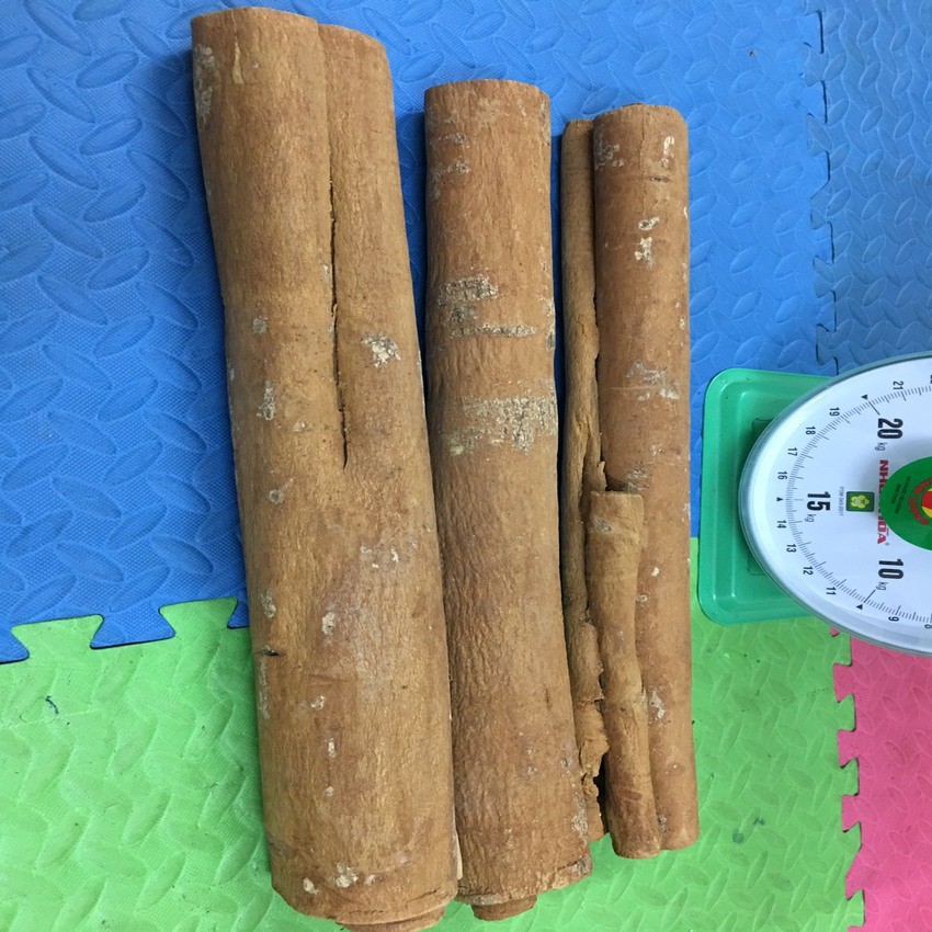 Thanh Quế, Ống Quế Khô 50cm (Đã Cạo Sạch Vỏ), Vỏ Quế Khô Trang Trí (Decor), Pha Trà, 100g- 500g | BigBuy360 - bigbuy360.vn