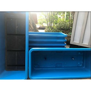 COMBO 5 Chậu Trồng Rau Thông Minh HOLO (60x26x21cm)