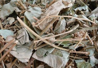 kim tiền thảo 1 kg hỗ trợ sỏi thận, sỏi mật hiệu quả