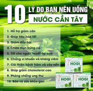 Bột Cần Tây HoGi