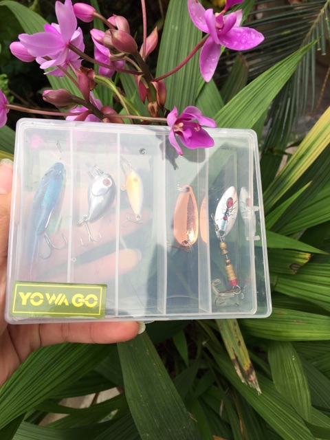 Combo hộp mồi câu lure giá rẻ