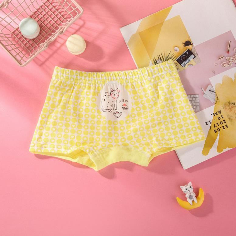 Combo Hộp 4 quần lót dạng đùi vải cotton Hàn Quốc cho bé gái mẫu Con Mèo-Máy Bay