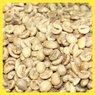 Cà phê robusta nhân sống chưa rang -  hàng chọn lọc từ nông hô 1 kg - Moka cafe