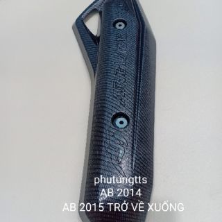 ỐP CẢNG / CHE PÔ AB 2013+2019 carbon