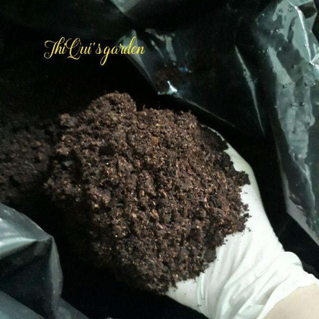 Giá thể hữu cơ Peat moss (túi 1kg)