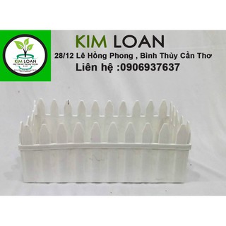 Combo 3 chậu hàng rào nhựa 30x12x11cm