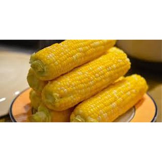 Hạt giống ngô ngọt 30 hạt