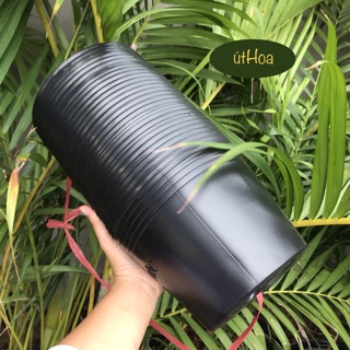 Combo 100 chậu nhựa đen C10 (25x20 cm) trồng cây